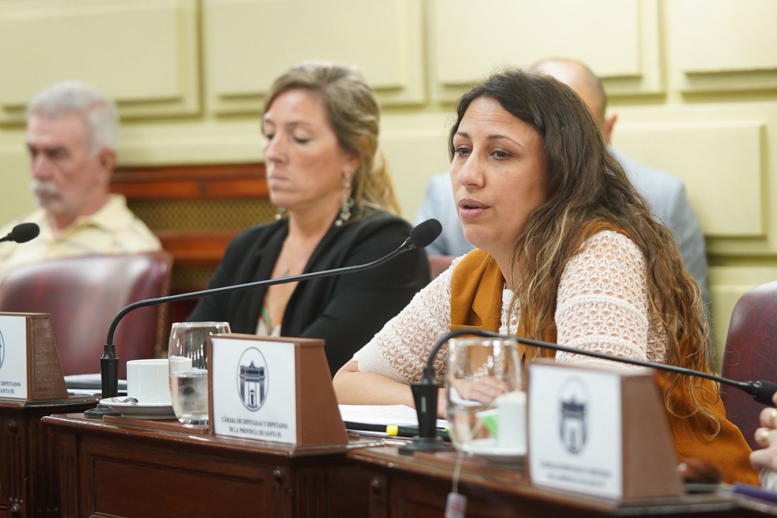 Fentanilo contaminado en Santa Fe: diputados provinciales recibieron a un grupo de familiares de las víctimas 